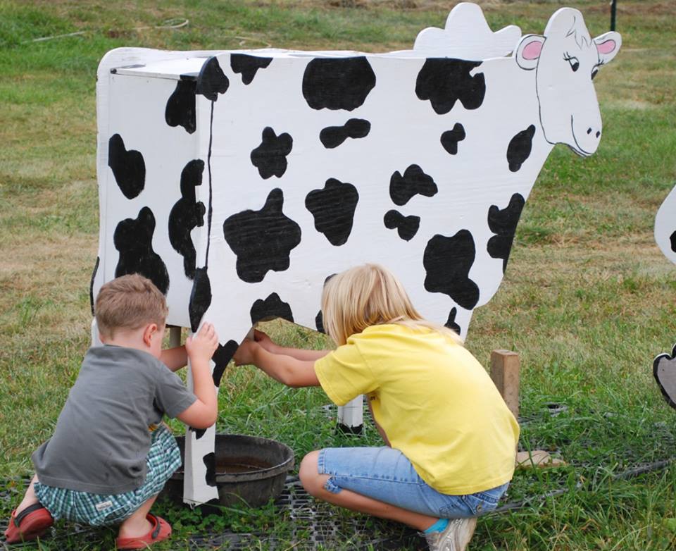 Picking the Top Summer Bucket List Experiences for Families in the